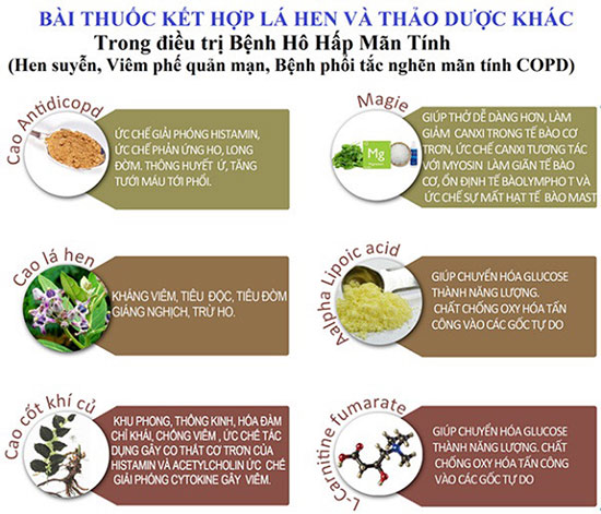 chuyên-gia-tiết-lộ-cái-kết-cực-sốc-cho-bệnh-nhân-đờm-ho-khó-thở-cho-bệnh-nhân-1