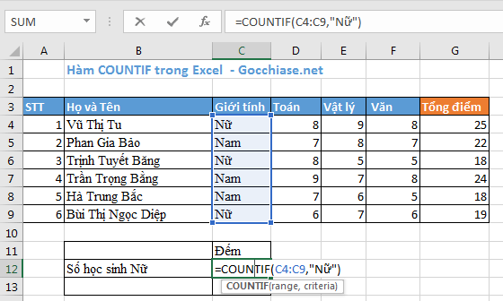 Cách sử dụng hàm số COUNTIF