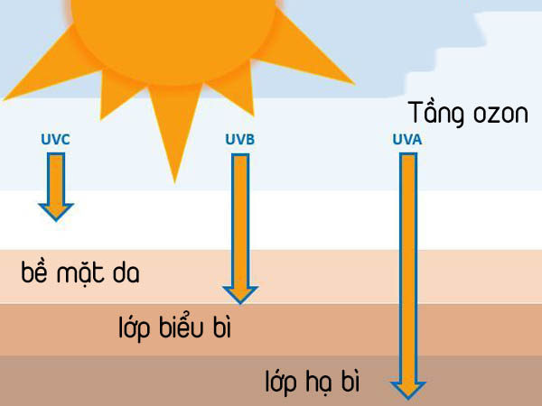 Sự khác nhau giữa tia UVB và UVA