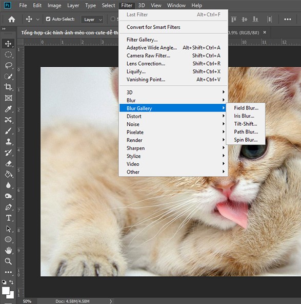 những tính năng làm mờ ảnh trong photoshop