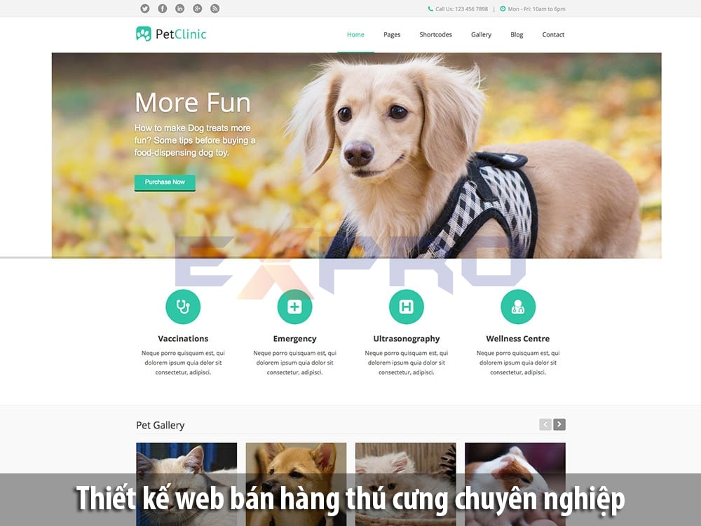 dịch vụ thiết kế website chuyên nghiệp